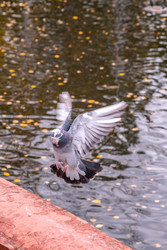 Similar image 22290297