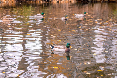 Similar image 22290298