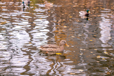 Similar image 22290299