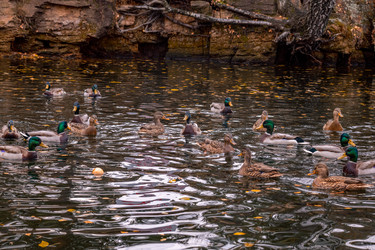 Similar image 22290300