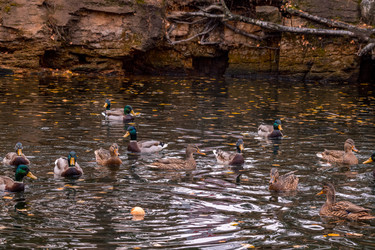 Similar image 22290301