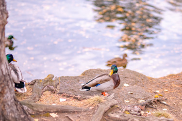 Similar image 22290302