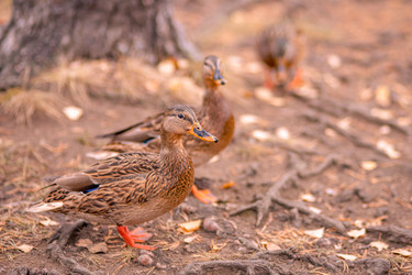 Similar image 22290303