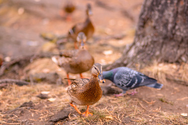 Similar image 22290304