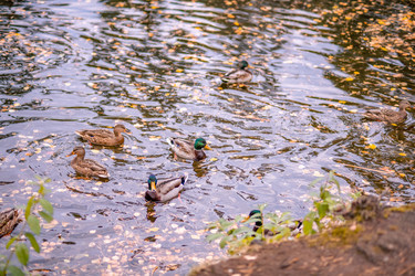 Similar image 22290305