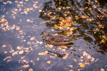 Similar image 22290306