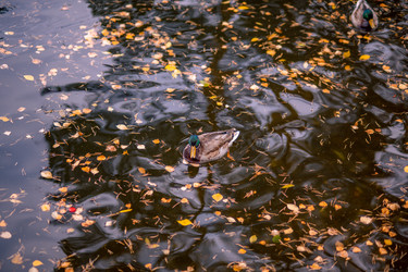 Similar image 22290307