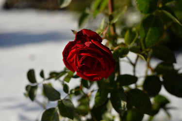 Similar image 22290309