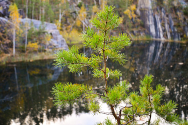 Similar image 22290311