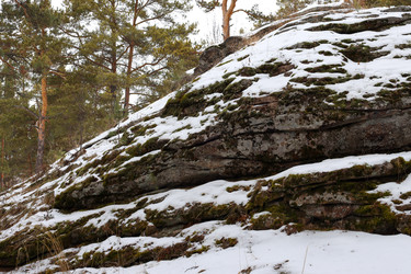 Similar image 22290319