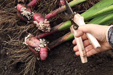 Similar image 22290320