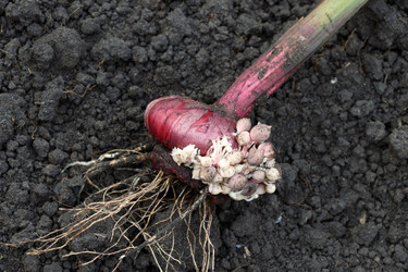 Similar image 22290322