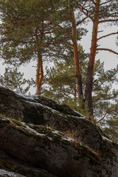 Similar image 22290324