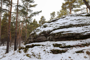 Similar image 22290325