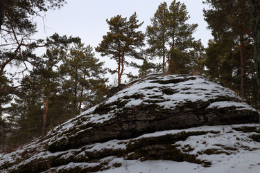 Similar image 22290328