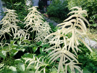 Similar image 22290535