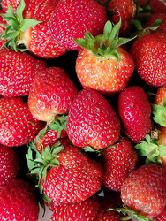 Similar image 22290537