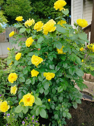 Similar image 22290538