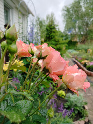 Similar image 22290543