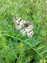 Similar image 22290545