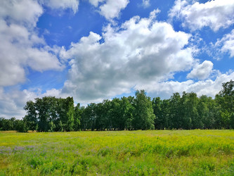 Similar image 22290546