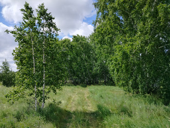 Similar image 22290547