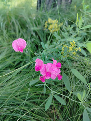 Similar image 22290548