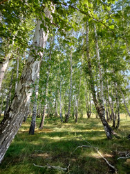 Similar image 22290549