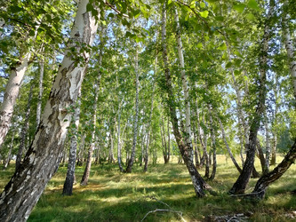 Similar image 22290550