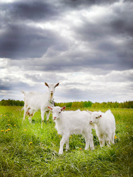 Similar image 22290553