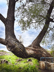 Similar image 22290555