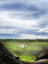 Similar image 22290556