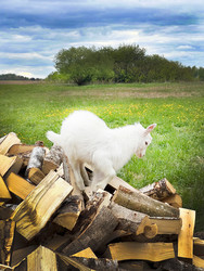 Similar image 22290557