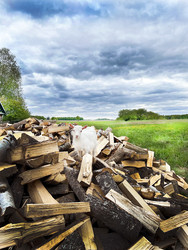 Similar image 22290559