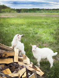 Similar image 22290560