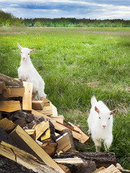 Similar image 22290561