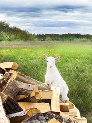 Similar image 22290562