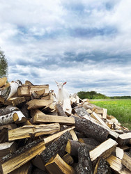 Similar image 22290563