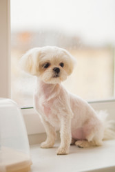 Similar image 22290339