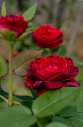 Similar image 22290341