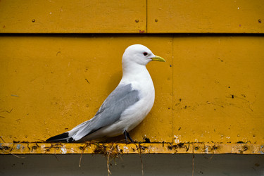 Similar image 22309679