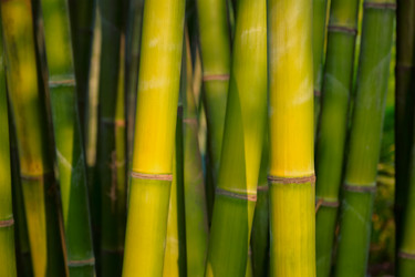 Similar image 22309686