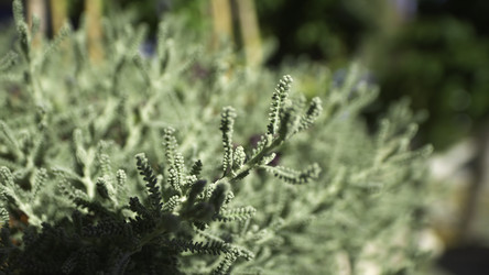 Similar image 22316225