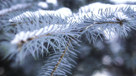 Similar image 22326013