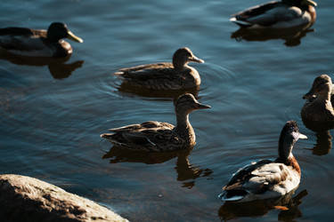 Similar image 22294079