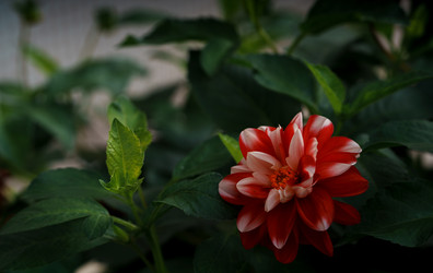 Similar image 22294080