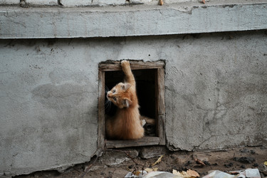 Similar image 22294081