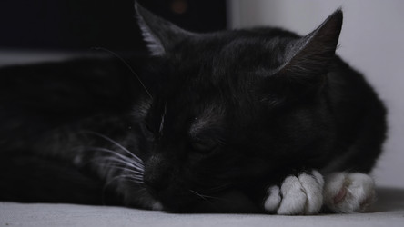 Similar image 22296449