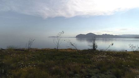 Similar image 22296450