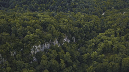 Similar image 22296451